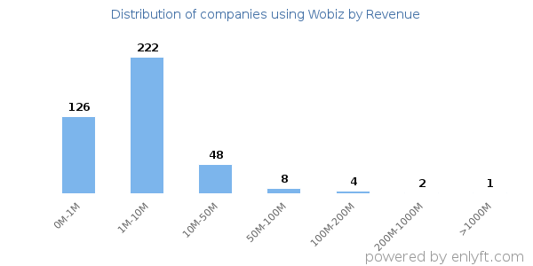 Wobiz clients - distribution by company revenue